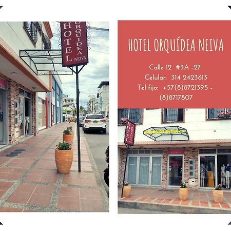 Hotel Orquidea Neiva Neiva  Exteriör bild
