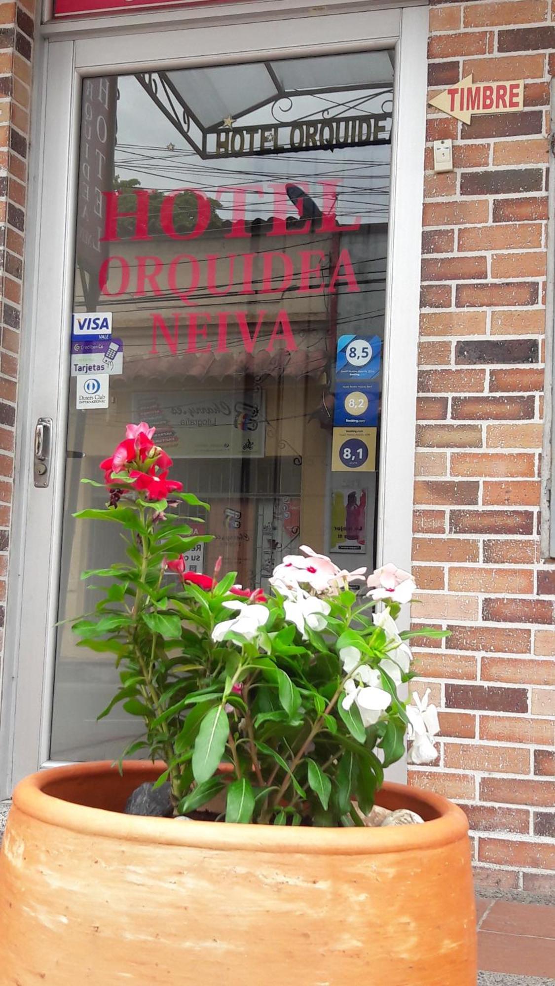 Hotel Orquidea Neiva Neiva  Exteriör bild